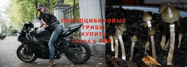скорость Алзамай