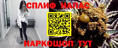 дживик Камышлов