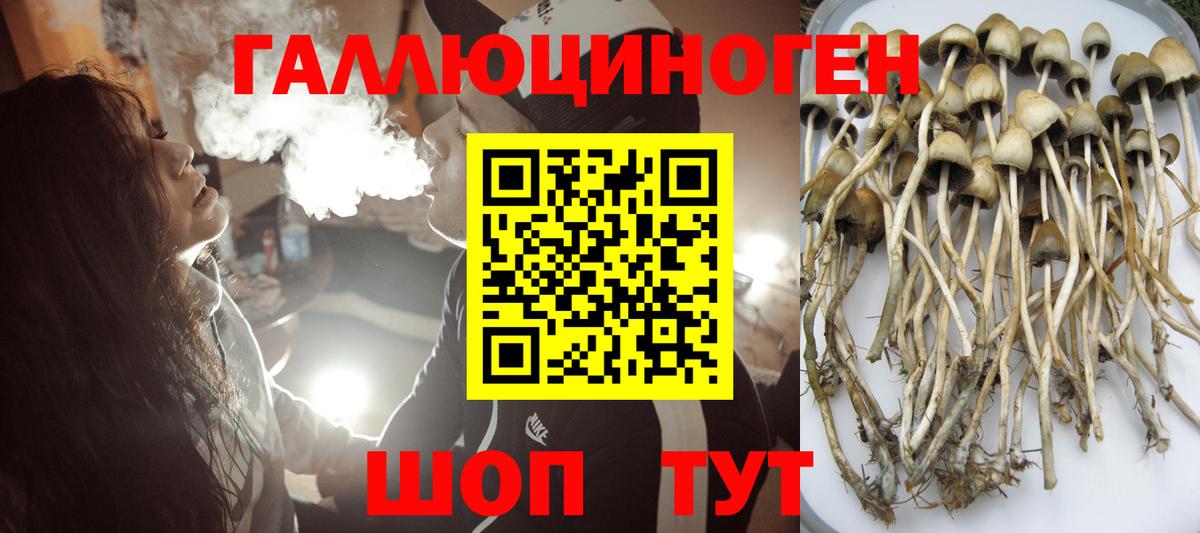 Псилоцибиновые грибы ЛСД  Вход с VPN  Галлюциногенные грибы мухоморы  Курчалой 