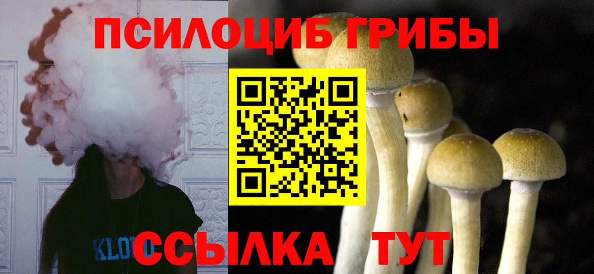 Псилоцибиновые грибы мухоморы Курчалой