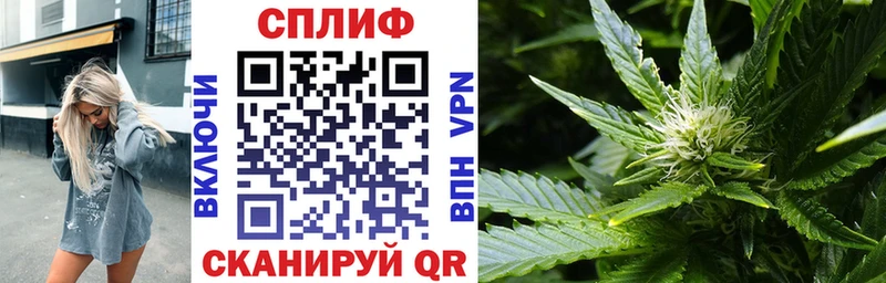 где купить наркотик  Курчалой  МАРИХУАНА тримм 
